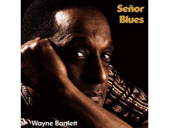 Wayne Bartlett & Band - Senor Blues