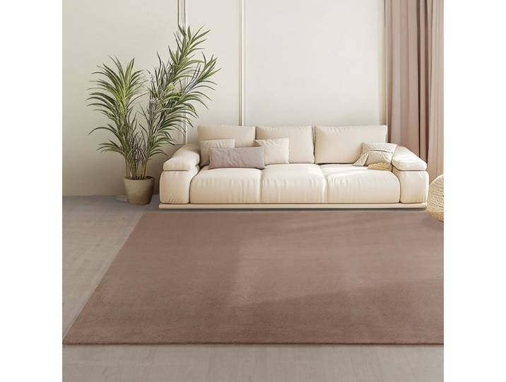 Teppium Tapis Brun 200x280 cm Lavable Antidérapant et Doux tapis uni Salon et Chambre