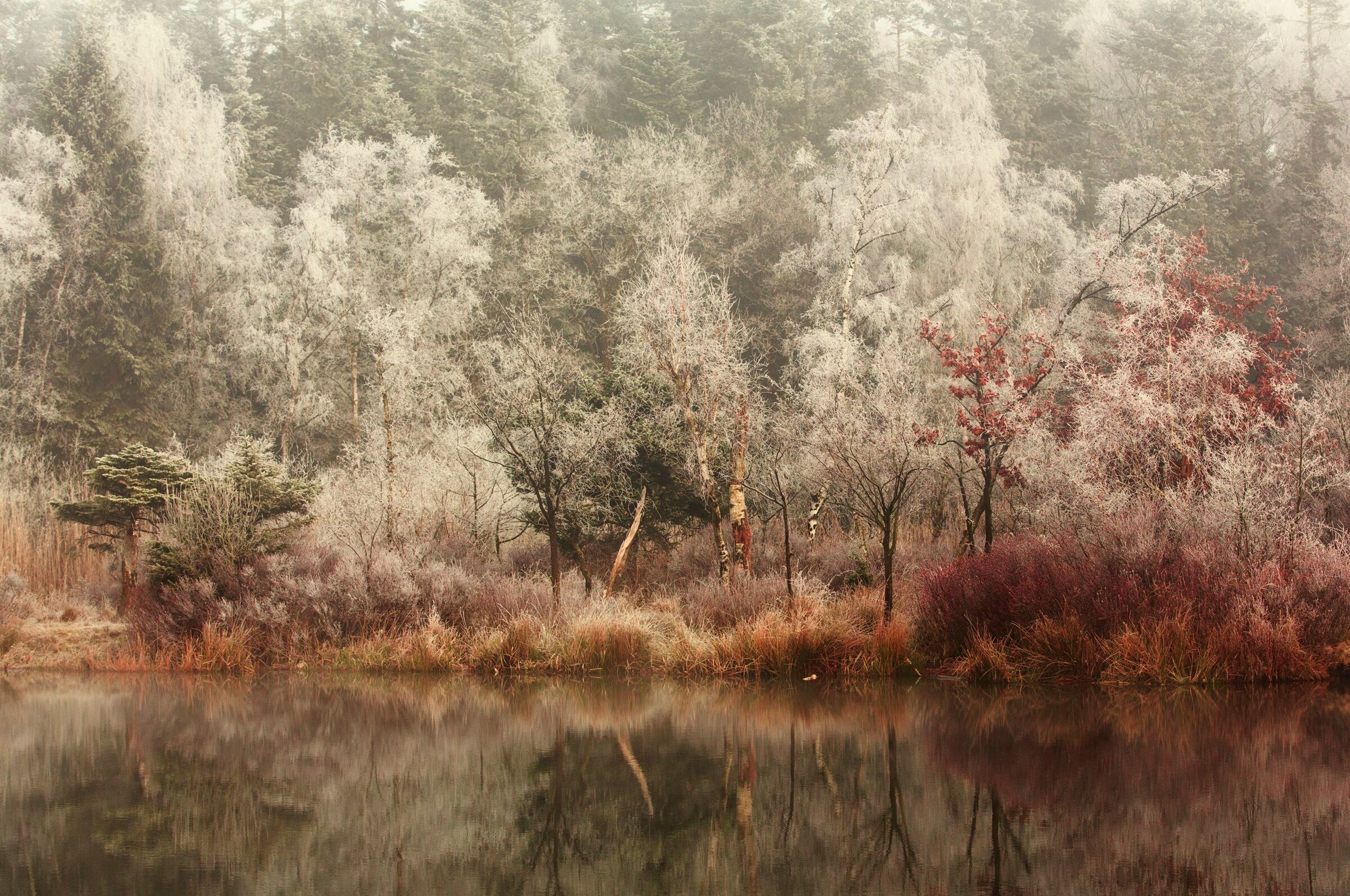 Fototapete PAPERMOON "Photo-Art ANTON VAN DONGEN, GEFROREN", bunt, B:3m L:2,23m, Vlies, Tapeten, Fototapete bunt B/L: 3m x 2,23m, Bahnen: 6 Stk.