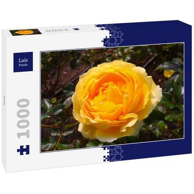 Lais Puzzle Rose 1000 Teile