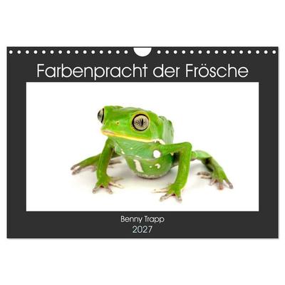 Farbenpracht der Frösche (Wandkalender 2027 DIN A4 quer), CALVENDO Monatskalender