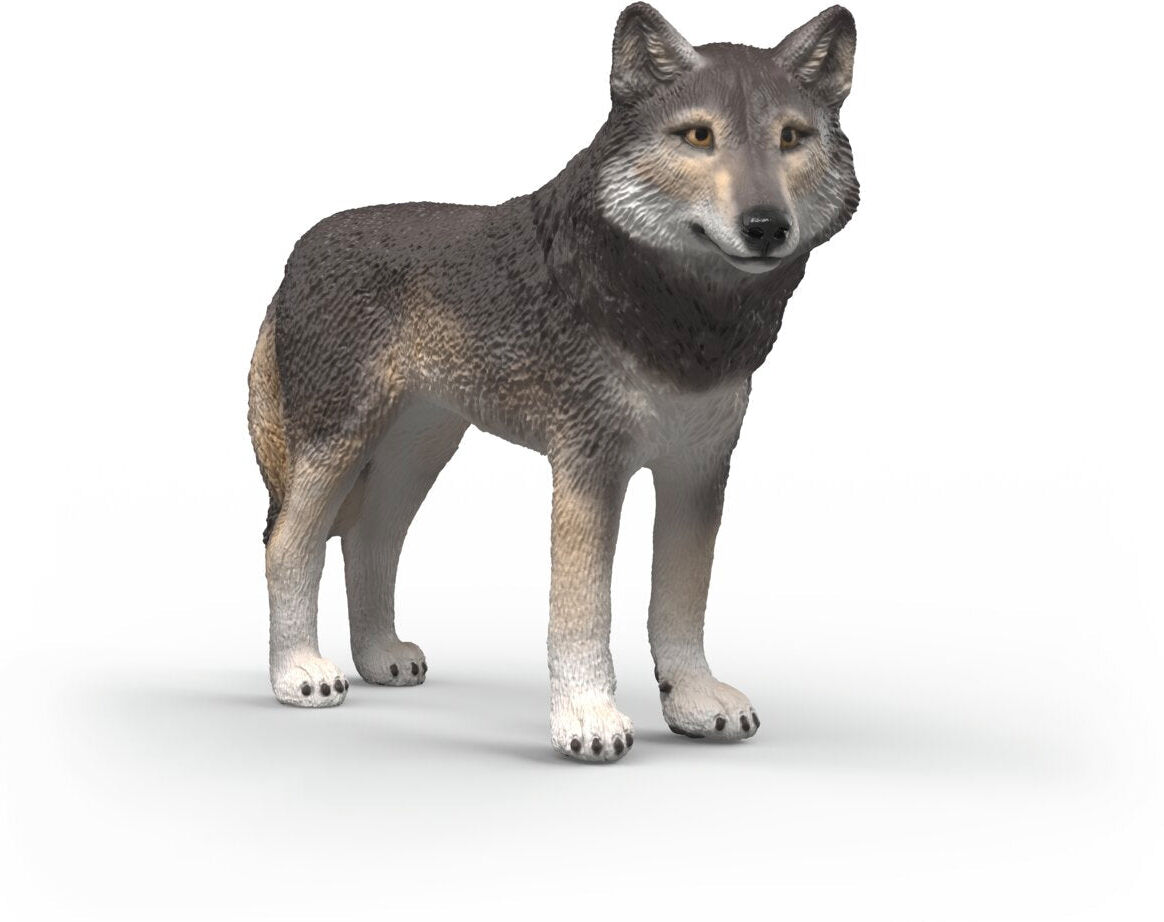 Schleich WILD LIFE American Wolf Figure, Grey, 8.05 x 4.7 x 6.1 cm, for Children