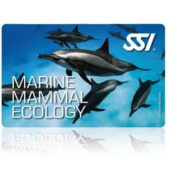 Marine Mammal Ecology - SSI Specialty - Online Tauchkurs