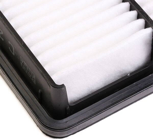 MANN-FILTER C 2631 Air filter
