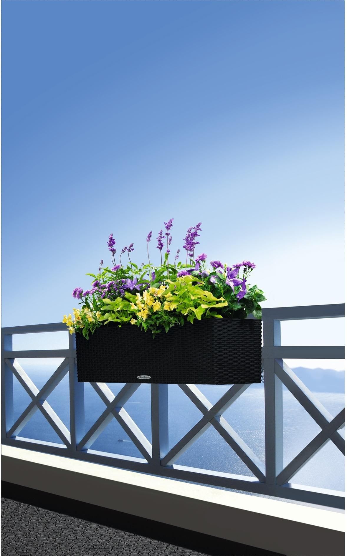 Balkonkasten "Lechuza BALCONERA Cottage 80", schwarz, Pflanzgefässe, Balkonkasten schwarz Einheitsgröße