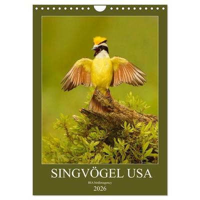 Singvögel USA (Wandkalender 2026 DIN A4 hoch), CALVENDO Monatskalender