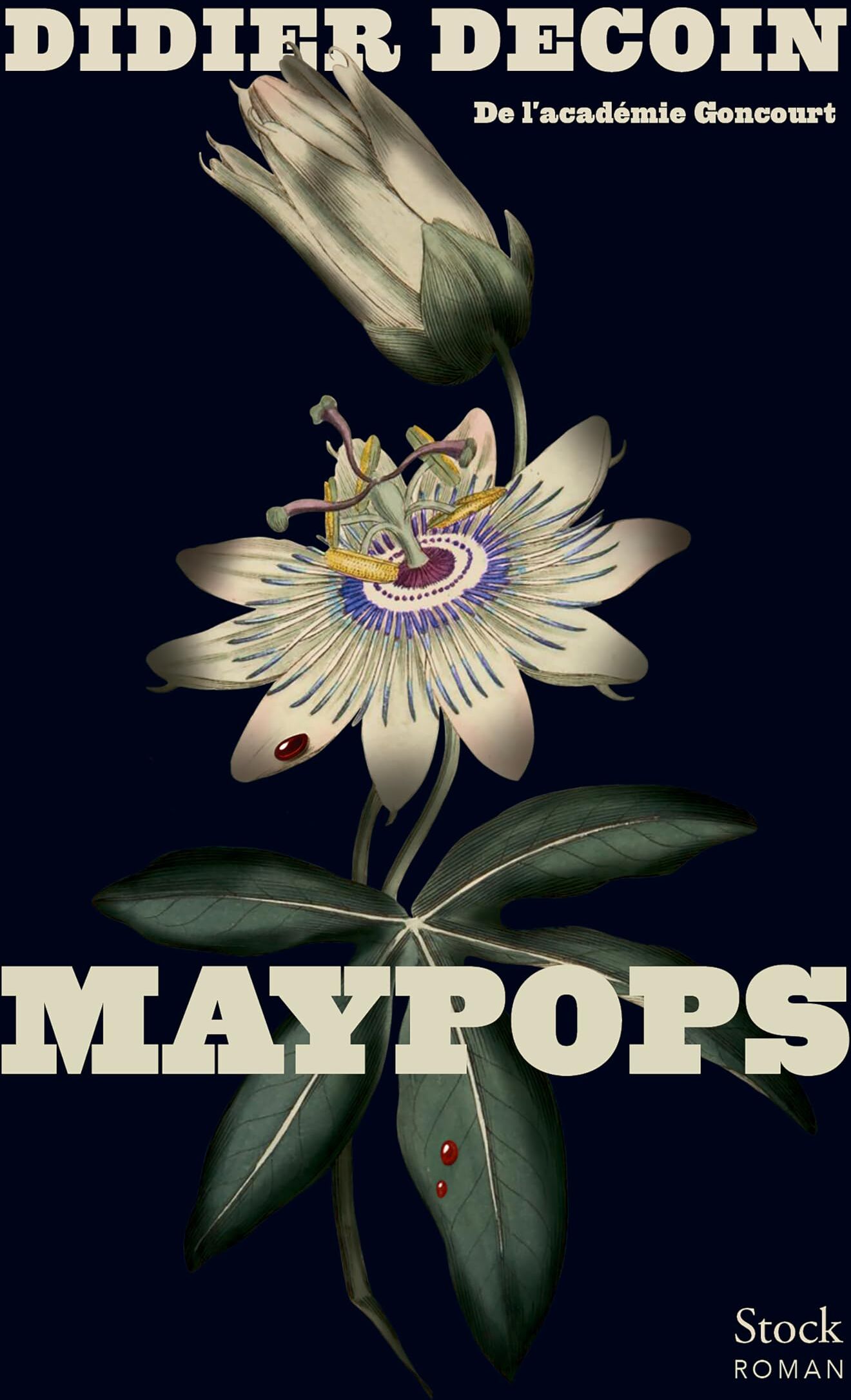 Didier Decoin - Maypops - Preis vom 11.10.2026 15:43:13 h
