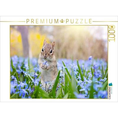 CALVENDO Puzzle Streifenhörnchen auf der Frühlingswiese | 1000 Teile Lege-Größe 64x48cm Foto-Puzzle für glückliche Stunden, Sonstige von , Calvendo