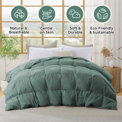 Puredown Medium Warmth 300TC Organic Cotton Down Comforter - 100% Natural, Chemical-Free, All Season Duvet Insert