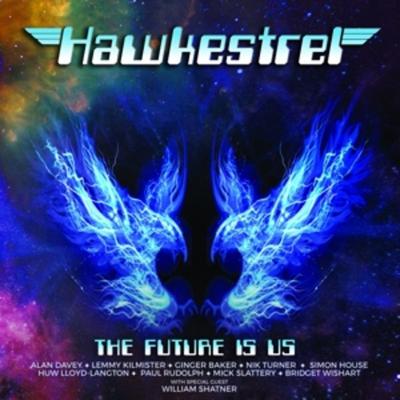 The Future Is Us - Hawkestrel, Vinyl