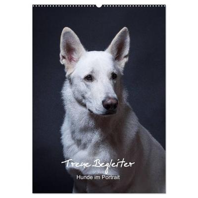 Treue Wegbegleiter, Hunde im Portrait. (Wandkalender 2027 DIN A2 hoch), CALVENDO Monatskalender