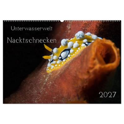 Unterwasserwelt Nacktschnecken (Wandkalender 2027 DIN A2 quer), CALVENDO Monatskalender