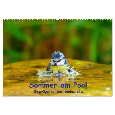 Sommer am Pool - Singvögel an der Badestelle (Wandkalender 2027 DIN A2 quer), CALVENDO Monatskalender