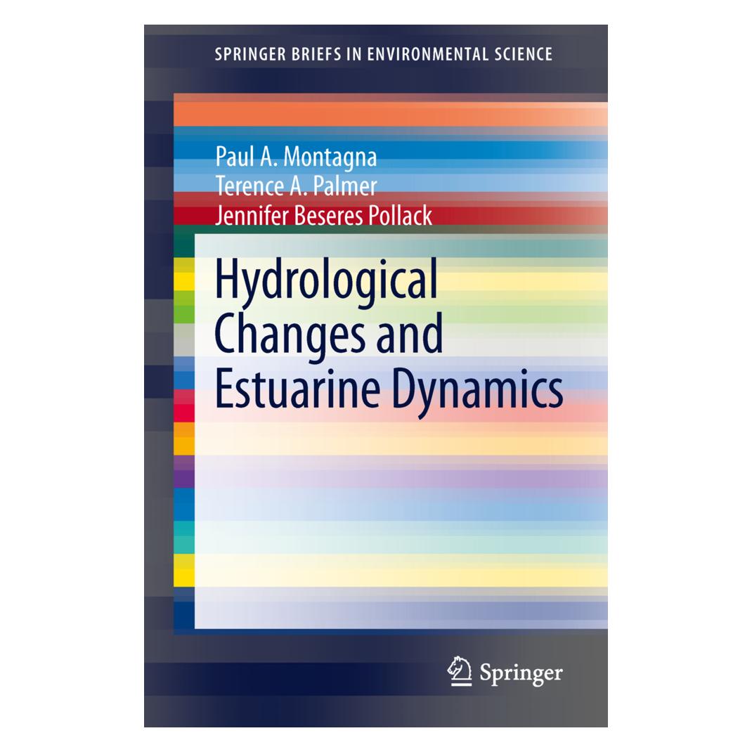 Springer Hydrological Changes and Estuarine Dynamics (Englisch, Softcover, Jennifer Beseres Pollack, Paul Montagna, Terence A Palmer) (55496085)