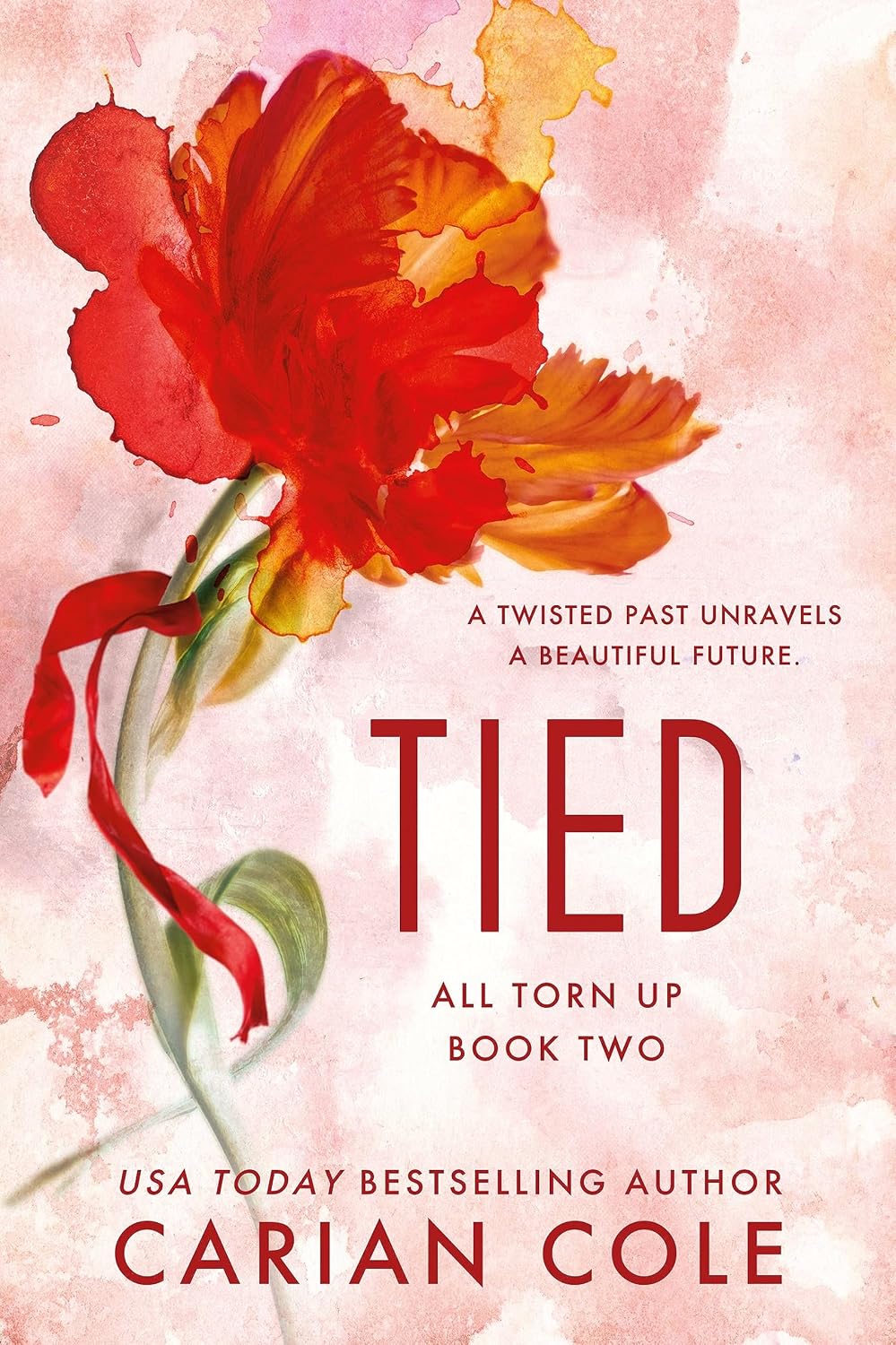 All Torn Up #2: Tied by Carian Cole - New Adult Dark Romance Paperback - Forever Publishing