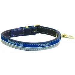 Martin Sellier Galon (12, Hund, Allgemein, Spazieren), Halsband + Leine