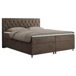 BOXBETT ROMA 180/200 - Braun Velvet - H3