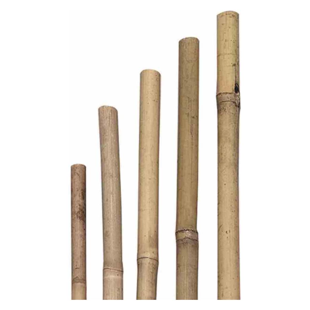 Siena Garden Pflanzstab (210 cm, 2 cm) (H10281)