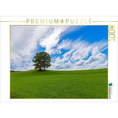 CALVENDO Puzzle Wiesenlandschaft in der Eifel | 1000 Teile Lege-Größe 64x48cm Foto-Puzzle für glückliche Stunden