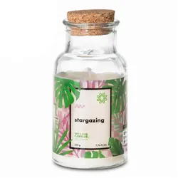 Duftkerze Go Green - Stargazing S