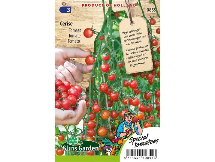 Tomaat zaden Cerise