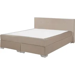 BOXSPRINGBETT 160/200cm Helles Beige Consul