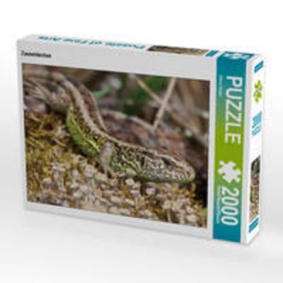 CALVENDO Puzzle Zauneidechse 2000 Teile Puzzle quer | 2000 Teile Lege-Größe 90 × 67 cm Foto-Puzzle für glückliche Stunden