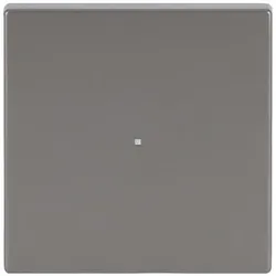 Busch-Jaeger Wippe eds pur Edelstahl 6230-10-866