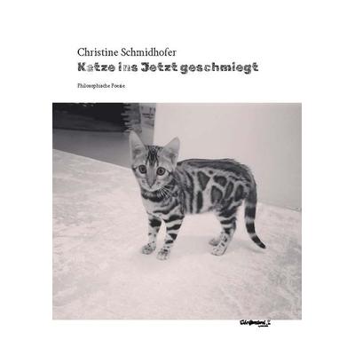 Katze ins Jetzt geschmiegt, Taschenbuch von Christine Schmidhofer, Schriftenstand Verlag, 978-3-903250-96-3