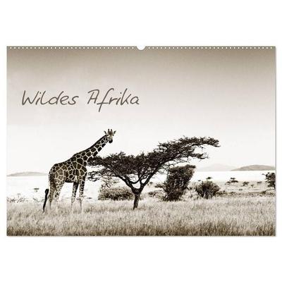 Wildes Afrika (Wandkalender 2027 DIN A2 quer), CALVENDO Monatskalender