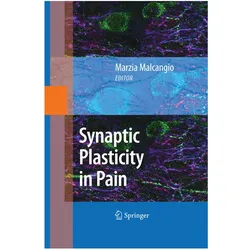 Synaptic Plasticity in Pain, Fachbücher von Marzia Malcangio