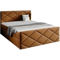 BOXBETT Herkules - H3
