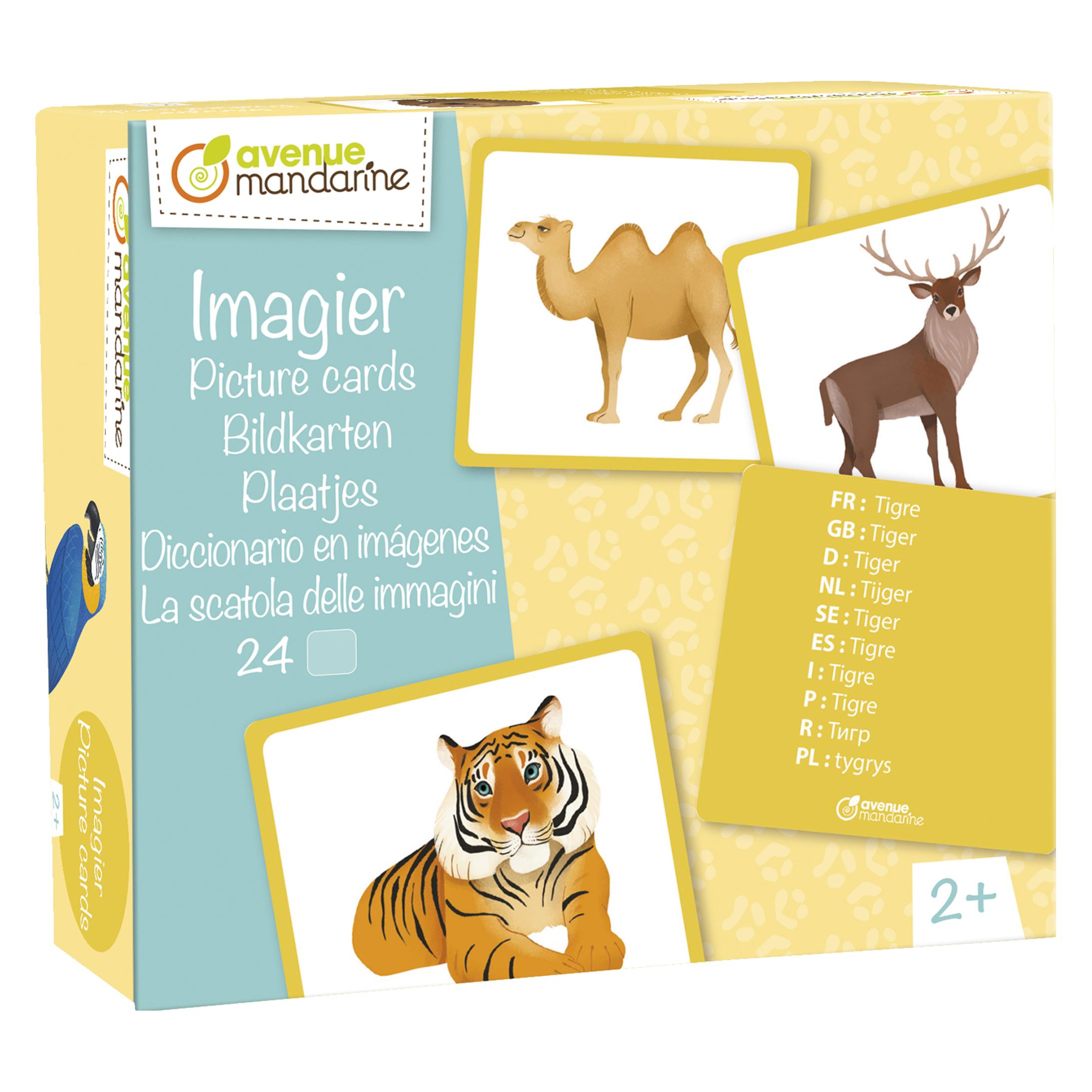 My Mandarine Kreativboxen (Deutsch, Englisch, Französisch, Italienisch, Niederländisch, Polnisch, Portugiesisch, Russisch, Schwedisch, Spanisch) (JE528C)