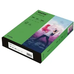 tecno Farbige Papiere »tecno Colors« grün