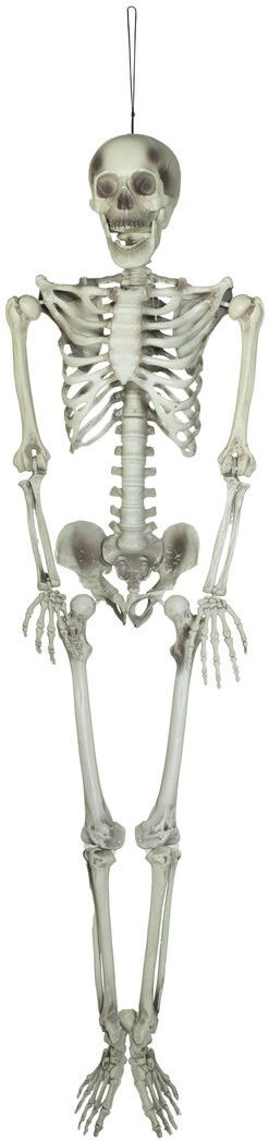Europalms Halloween Skelett, 150 Cm