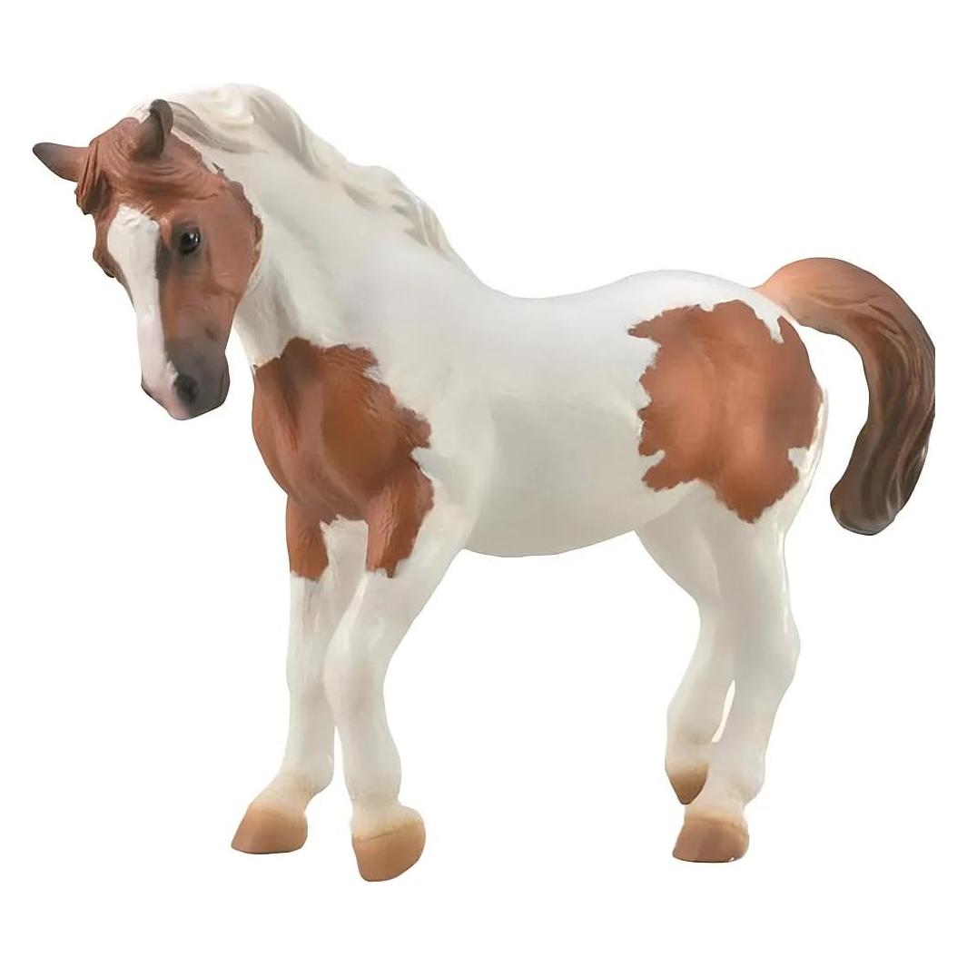Collecta PINTO CHINCOTEAGUE PONY Figur (004-88929)