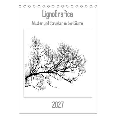 LignoGrafica - Muster und Strukturen der Bäume (Tischkalender 2027 DIN A5 hoch), CALVENDO Monatskalender