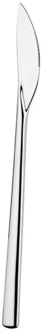Pintinox Coltello Frutta Tecna