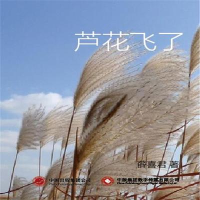 芦花飞了 - 薛喜君, Audio, 4071498255636