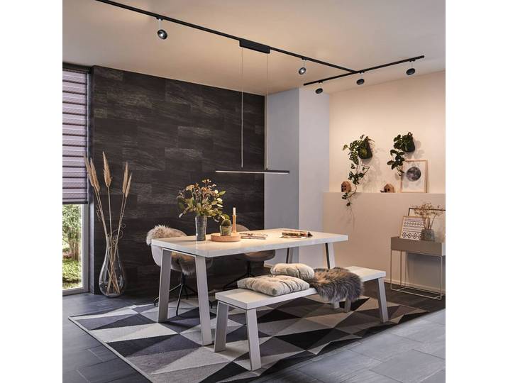 Paulmann URail Lento LED-Pendel ZigBee CCT schwarz Lento, dimmbar, schwarz, für Wohn- / Esszimmer, Metall, Modern, Pendelleuchte