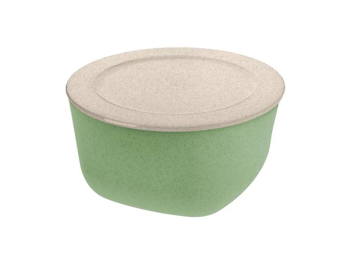 Koziol Saladier avec couvercle Connect thermoplastique biocirculaire 4 L Nature leaf green
