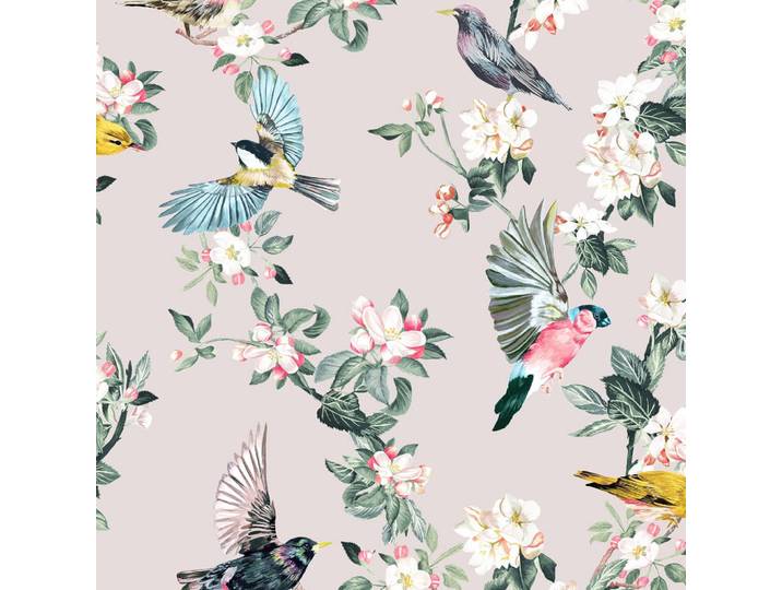 Joules Vliestapete Handford Gartenvögel 1000x52cm, Pink, Papier, Kunststoff, Tiere, Floral, Rechteckig, 52x1000 cm, Tapeten & Wandverkleidungen, Vliestapeten