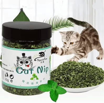 Inspire Essentials PurePlay Organic Catnip Grass Toy nc17 0029 1pc