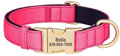 Inspire Essentials Personalized Waterproof Dog Collar With Soft Padding pink l