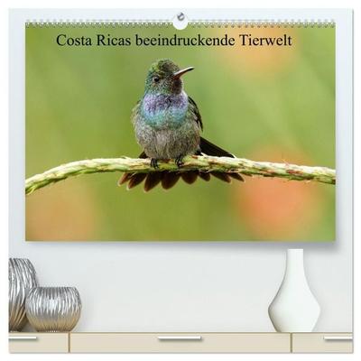 Costa Ricas beeindruckende Tierwelt (hochwertiger Premium Wandkalender 2027 DIN A2 quer), Kunstdruck in Hochglanz