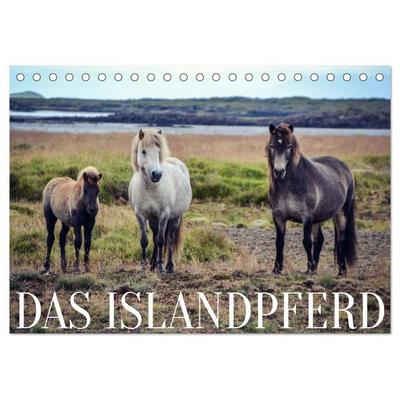 Das Islandpferd (Tischkalender 2026 DIN A5 quer), CALVENDO Monatskalender