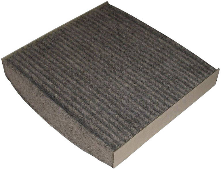 DELPHI TSP0325232C Pollen filter
