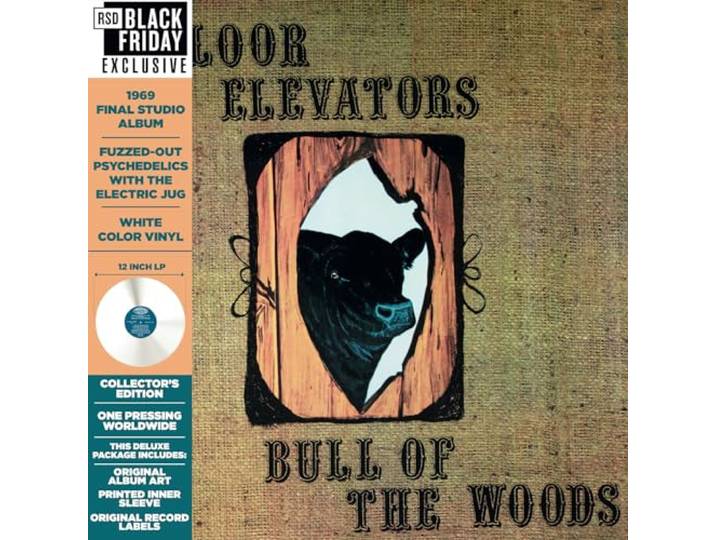 Bull Of The Woods