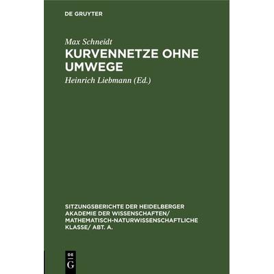 Kurvennetze ohne Umwege, Gebundene Ausgabe von Max Schneidt, De Gruyter, 978-3-11-118930-7