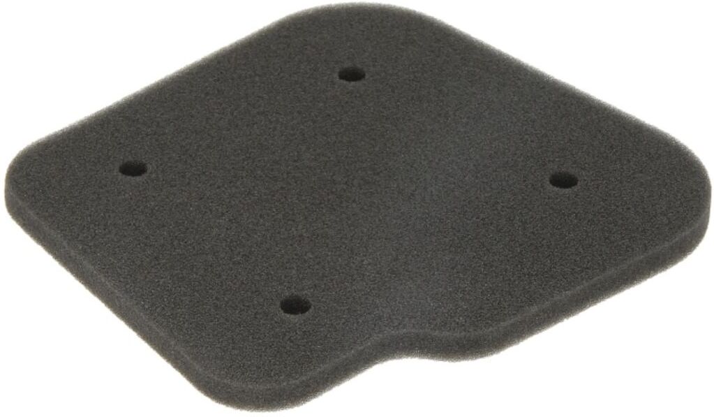 Rms Filtro aria 10 060 0350